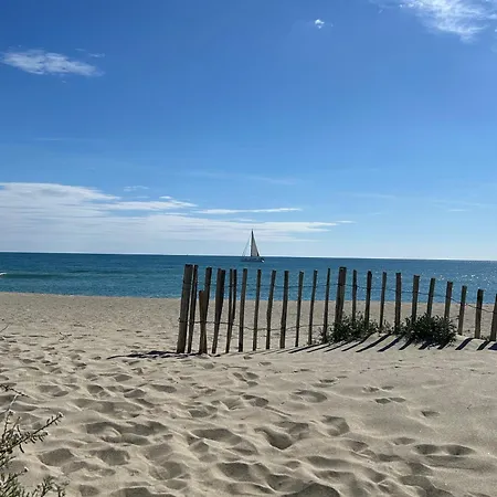 T3 A Saint-cyprien, 6 Pers, Piscine, Terrasse, Proche Et Port - Fr-1-793-22 Vila *